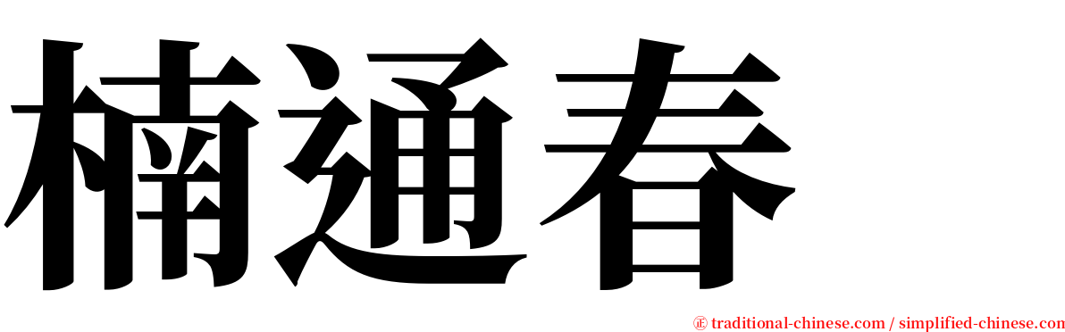 楠通春  serif font